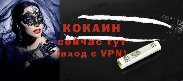 гашик Арсеньев