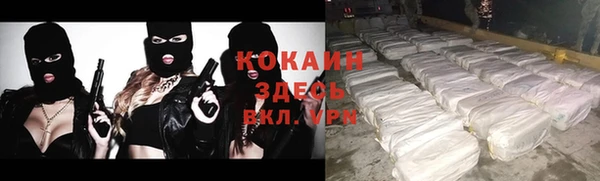 ГАЛЛЮЦИНОГЕННЫЕ ГРИБЫ Каменка