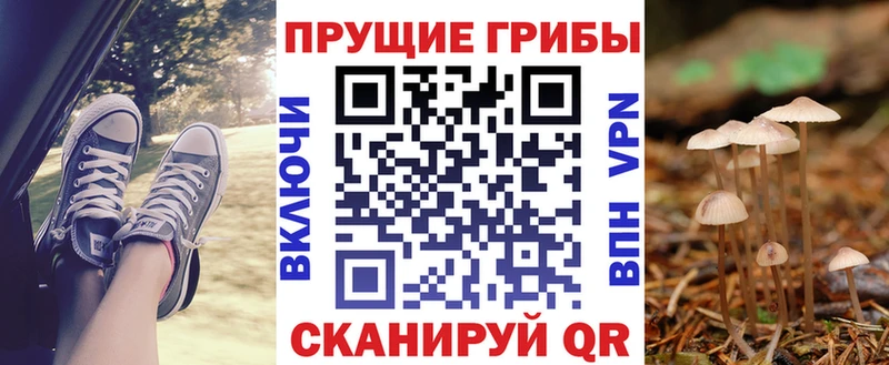 Галлюциногенные грибы мухоморы  где продают   Гдов 